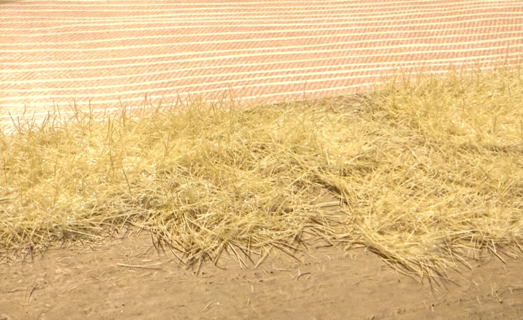 N Scale Diorama: Static Grass applied