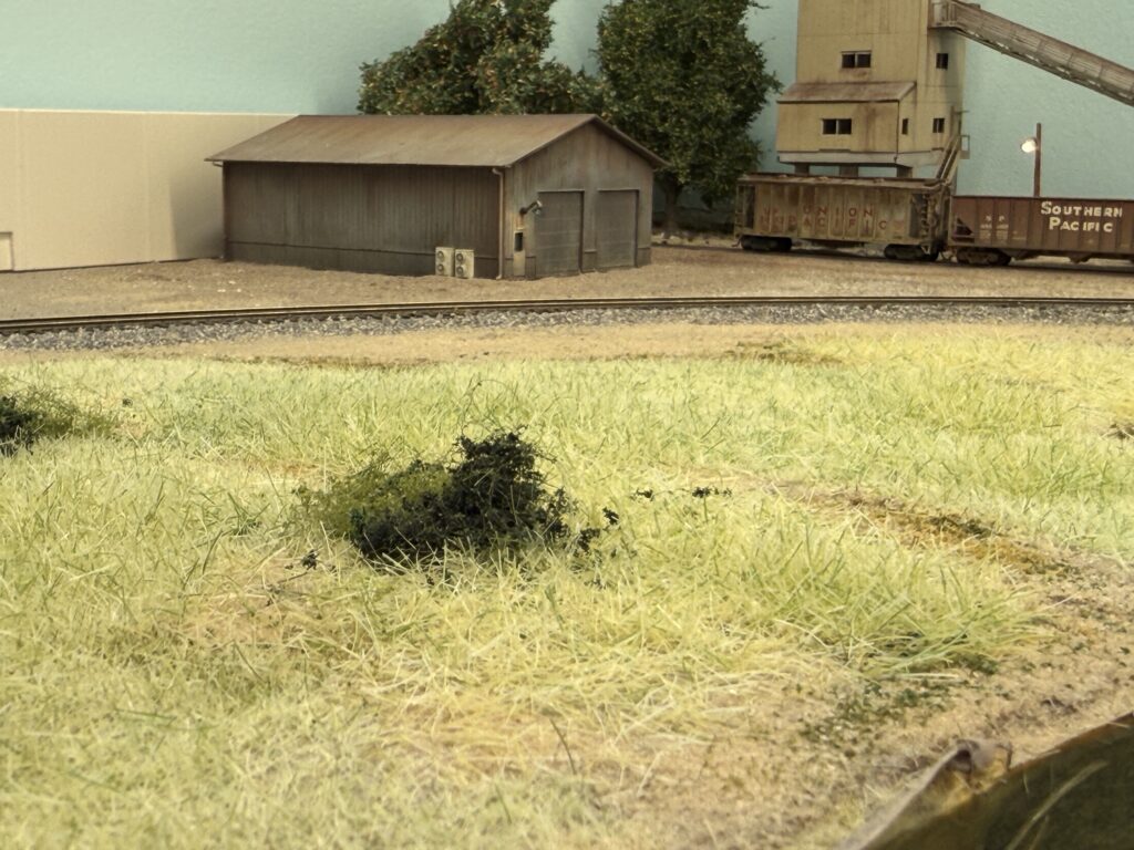 Latest Updates on the Burbank Branch: static grass